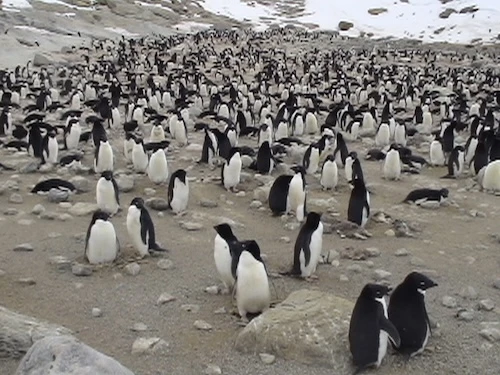 北田克治さん参考写真7